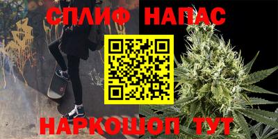 сатива Гусев