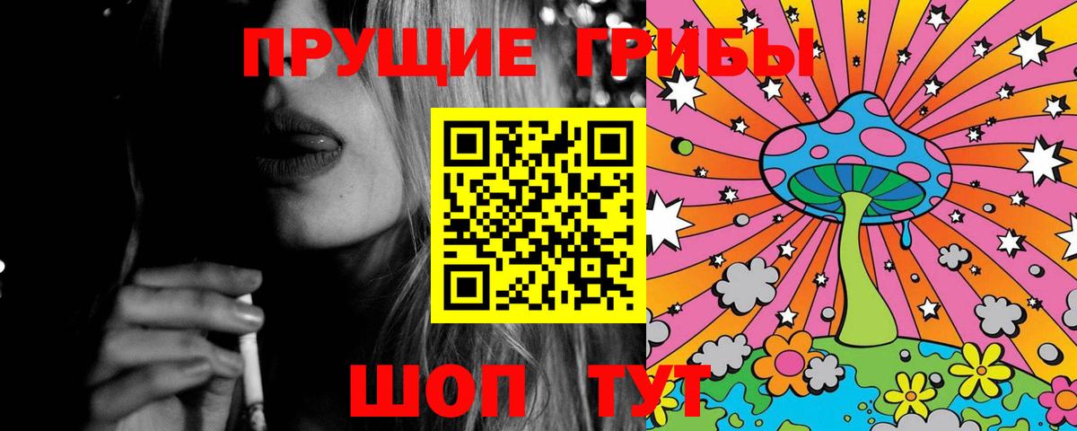 Галлюциногенные грибы Psilocybe Мурино